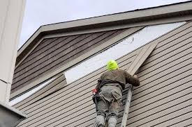 Professional Siding in Wenona, IL